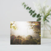 Sonnige serene Waldwiese Postkarte (Stehend Vorderseite)