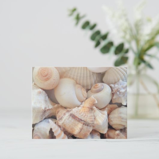 Sonnige Sommerhäuser, Muscheln Beach Liebe Postkarte (Stehend Vorderseite)