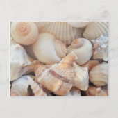 Sonnige Sommerhäuser, Muscheln Beach Liebe Postkarte (Vorderseite)