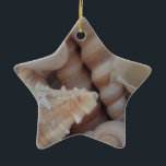 Sonnige Sommerhäuser, Sea Muschel Beach Liebe Keramikornament<br><div class="desc">Sonnige Sommerhäuser,  Sea Muschel Beach Liebe</div>