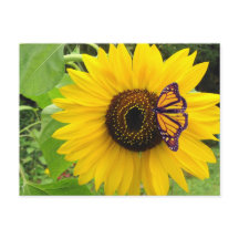 Sonnige Sommerpostkarte