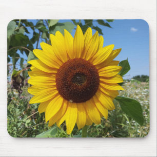 Sonnige Sonnenblume Mousepad