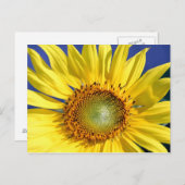 Sonnige Sonnenblume Postkarte (Vorne/Hinten)