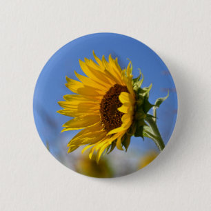 Sonnige Sonnenblumen Button