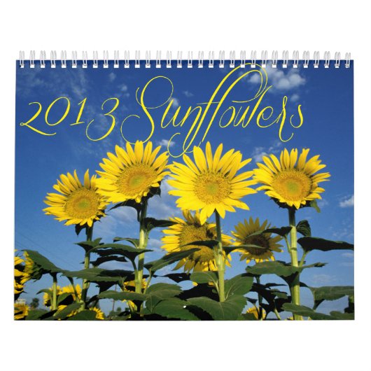Sonnige Sonnenblumen - Kalender 2013 (Titelbild)