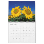 Sonnige Sonnenblumen - Kalender 2013 (Mär 2027)