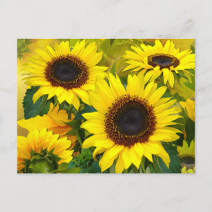 Sonnige Sonnenblumen Postkarte