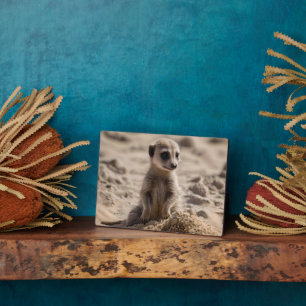 "Sonnige Tage: Baby Meerkat's Beach Adventure" Fotoplatte