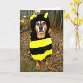 Sonnige "traurigste Bienen-" Gruß-Karte Karte (Gelbe Blume)