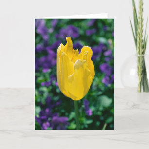 Sonnige Tulpe Karte