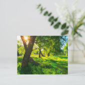 Sonnige Waldwiese Postkarte (Stehend Vorderseite)