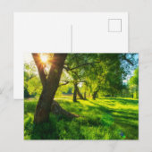 Sonnige Waldwiese Postkarte (Vorne/Hinten)