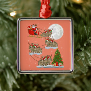 Sonnige Weihnachten Sonnenschein Ristorante La Lan Ornament Aus Metall