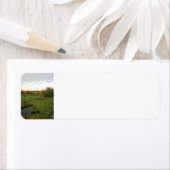 Sonnige Wiese (Insitu)