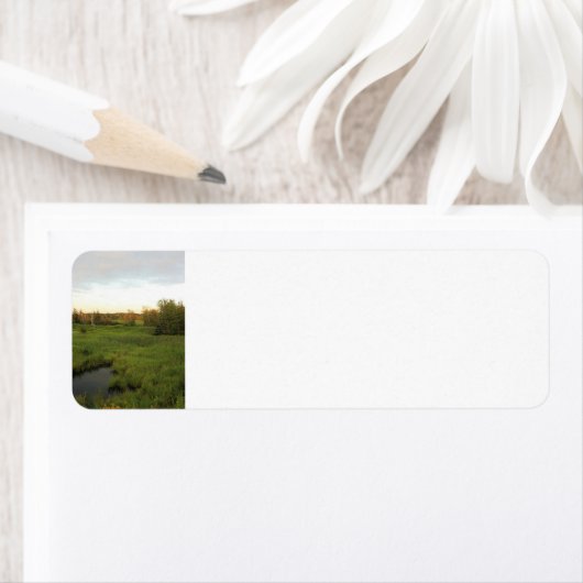 Sonnige Wiese (Insitu)