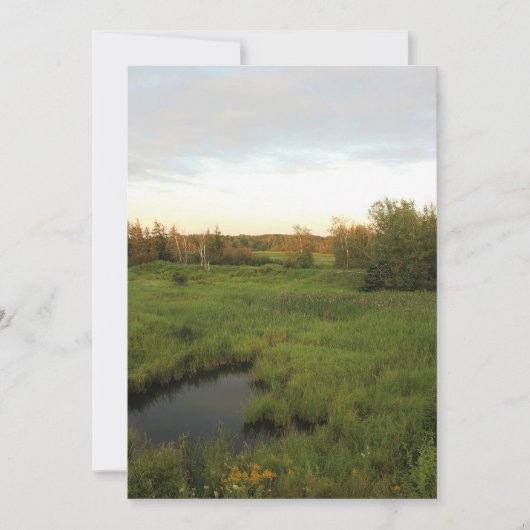 Sonnige Wiese Einladung (Vorderseite)