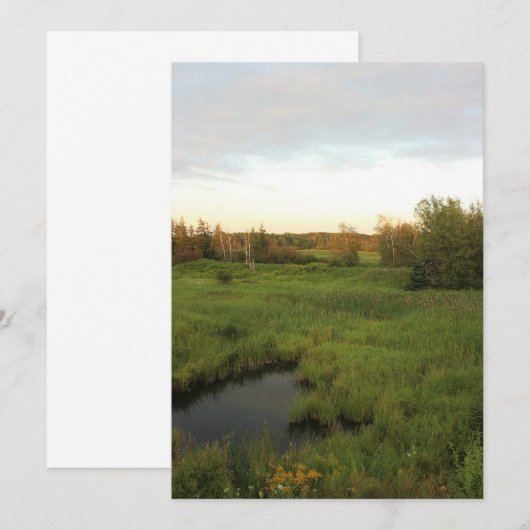 Sonnige Wiese Einladung (Vorne/Hinten)