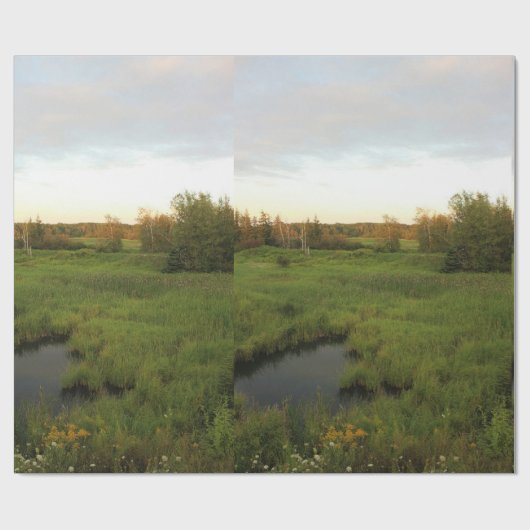 Sonnige Wiese Geschenkpapier (Flach)