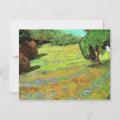 Sonnige Wiese im öffentlichen Park von Vincent van (Vorderseite)