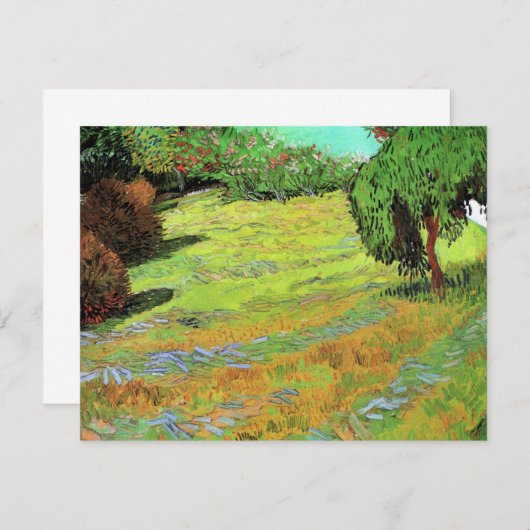 Sonnige Wiese im öffentlichen Park von Vincent van (Vorne/Hinten)