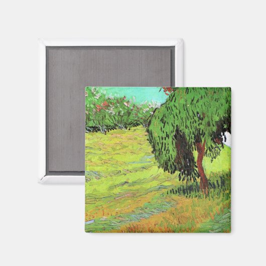 Sonnige Wiese im öffentlichen Park von Vincent van Magnet (Vorderseite/Rückseite)