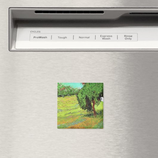 Sonnige Wiese im öffentlichen Park von Vincent van Magnet (In Situ (Geschirrspüler))