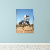 Sonnige Ziegen im Baum Leinwanddruck (Insitu (Holzboden))