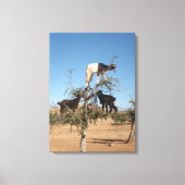 Sonnige Ziegen im Baum Leinwanddruck (Vorderseite)