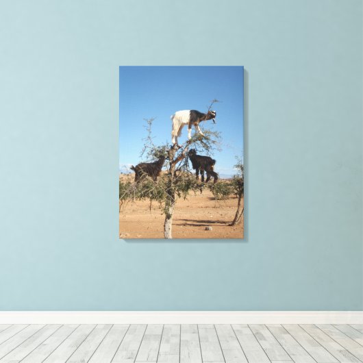 Sonnige Ziegen im Baum Leinwanddruck (Insitu (Holzboden))