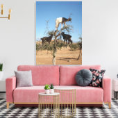 Sonnige Ziegen im Baum Leinwanddruck (Insitu (Wohnzimmer))