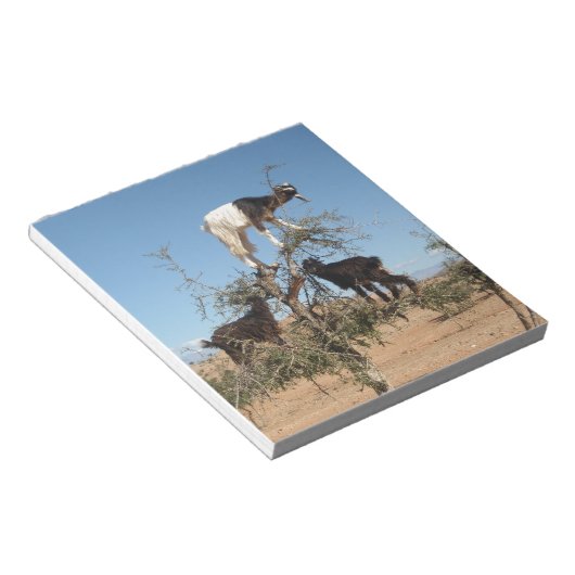 Sonnige Ziegen im Baum Notizblock (angewinkelt)