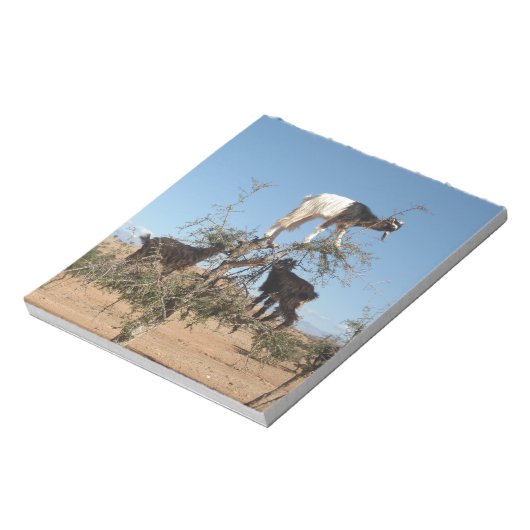 Sonnige Ziegen im Baum Notizblock (Rotiert)