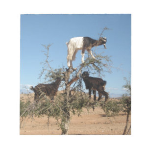Sonnige Ziegen im Baum Notizblock