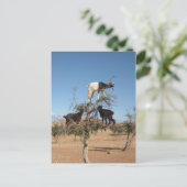 Sonnige Ziegen im Baum Postkarte (Stehend Vorderseite)