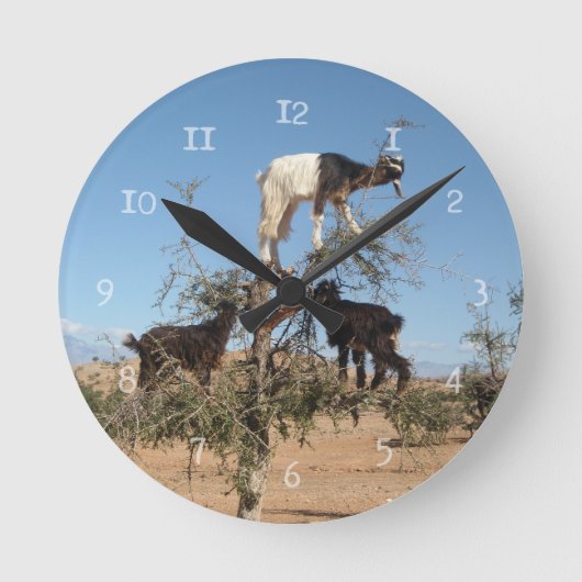 Sonnige Ziegen im Baum Runde Wanduhr (Vorderseite)