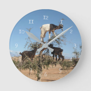 Sonnige Ziegen im Baum Runde Wanduhr