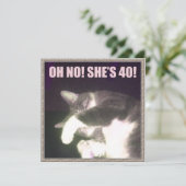 Sonniger 40. Geburtstag (Katze) Karte (Stehend Vorderseite)