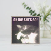 Sonniger 60. Geburtstag (Katze) Karte (Stehend Vorderseite)