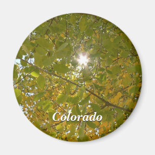 Sonniger Aspen Magnet