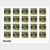 Sonniger Baum Quadratischer Aufkleber (Blatt)