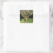 Sonniger Baum Quadratischer Aufkleber (Tasche)