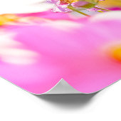 Sonniger Chor in Rosa Poster (Ecke)