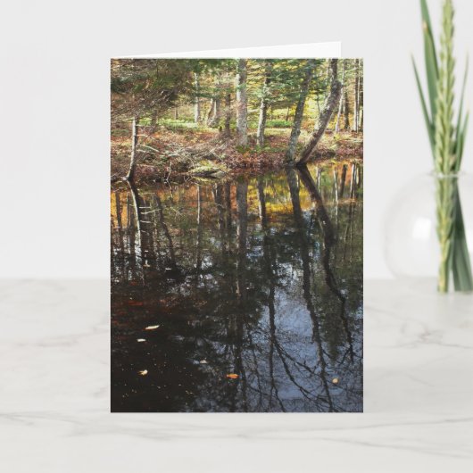 "Sonniger Fall Day" Adirondack Forest and Treen Sc Karte (Vorderseite)