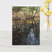 "Sonniger Fall Day" Adirondack Forest and Treen Sc Karte (Gelbe Blume)