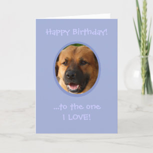 Sonniger Geburtstag vom Hund zum Besitzer mit Lieb Karte