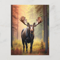 *~* Sonniger Golden AP49 MOOSE Naturwald