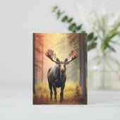 *~* Sonniger Golden AP49 MOOSE Naturwald Postkarte (Stehend Vorderseite)