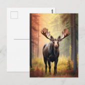 *~* Sonniger Golden AP49 MOOSE Naturwald Postkarte (Vorne/Hinten)