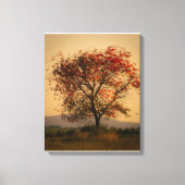 Sonniger Herbstbaum bei Dämmerung Leinwanddruck (Vorderseite)