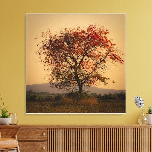 Sonniger Herbstbaum bei Dämmerung Leinwanddruck (Insitu (Wohnzimmer))